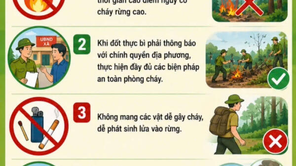 Chung tay bảo vệ rừng, phòng cháy, chữa cháy rừng